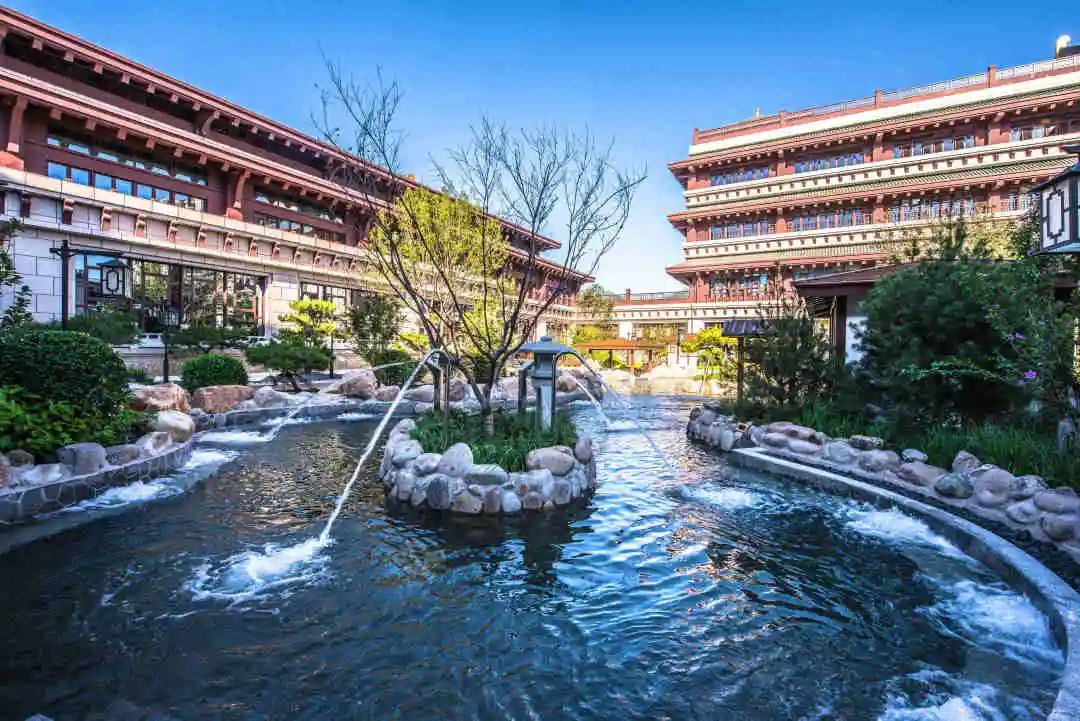 东丽恒5