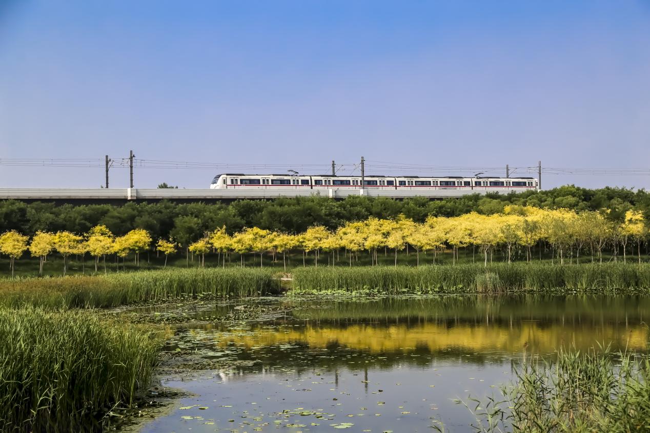 天津市东丽区坚持绿色发展铺展生态画卷