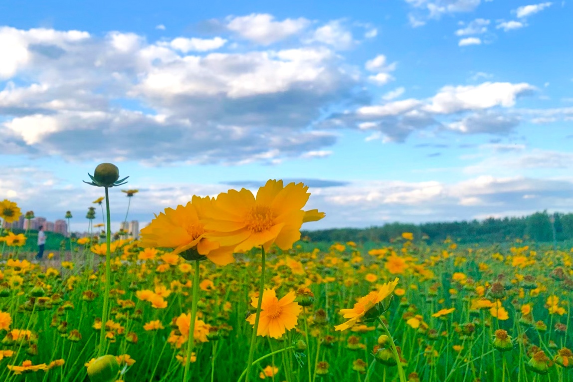 秋日东丽湖暮色惹人醉