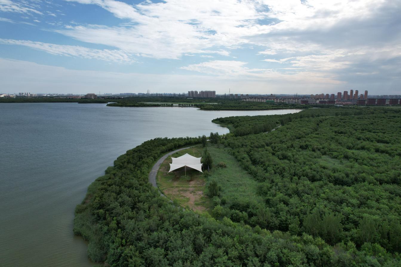 你好天津东丽记者探寻美丽东丽湖